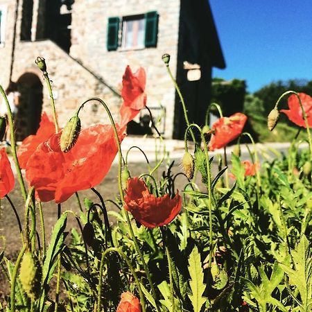 Agriturismo Angio Nel Cere Bracelli 外观 照片