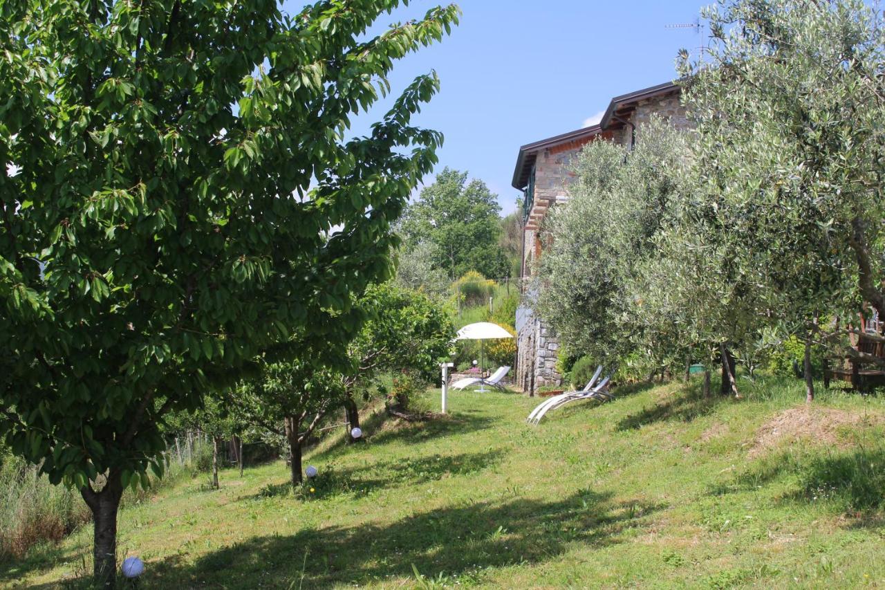 Agriturismo Angio Nel Cere Bracelli 外观 照片