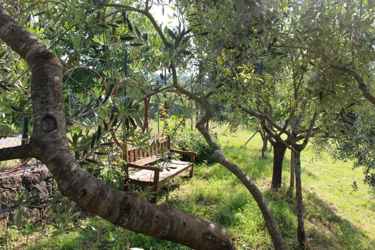 Agriturismo Angio Nel Cere Bracelli 外观 照片