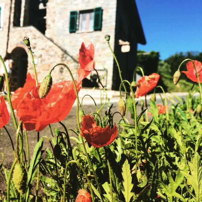 Agriturismo Angio Nel Cere Bracelli 外观 照片