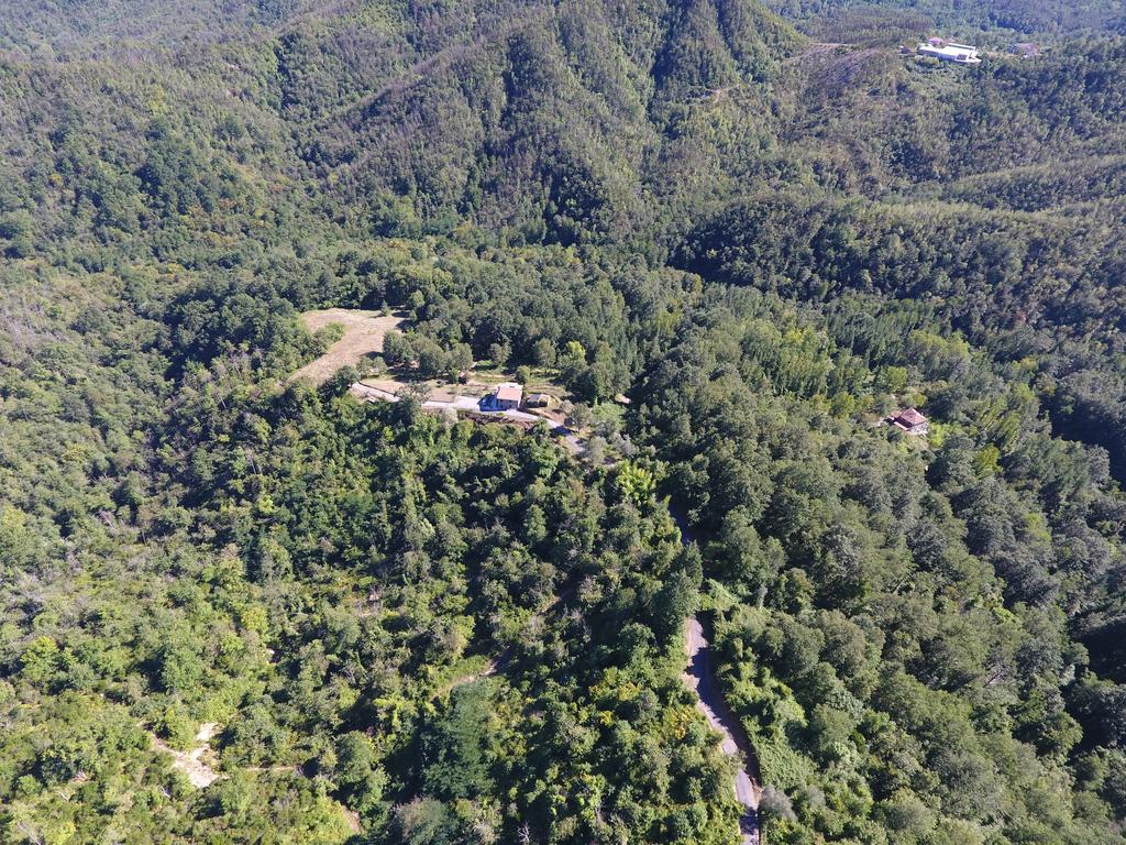 Agriturismo Angio Nel Cere Bracelli 外观 照片