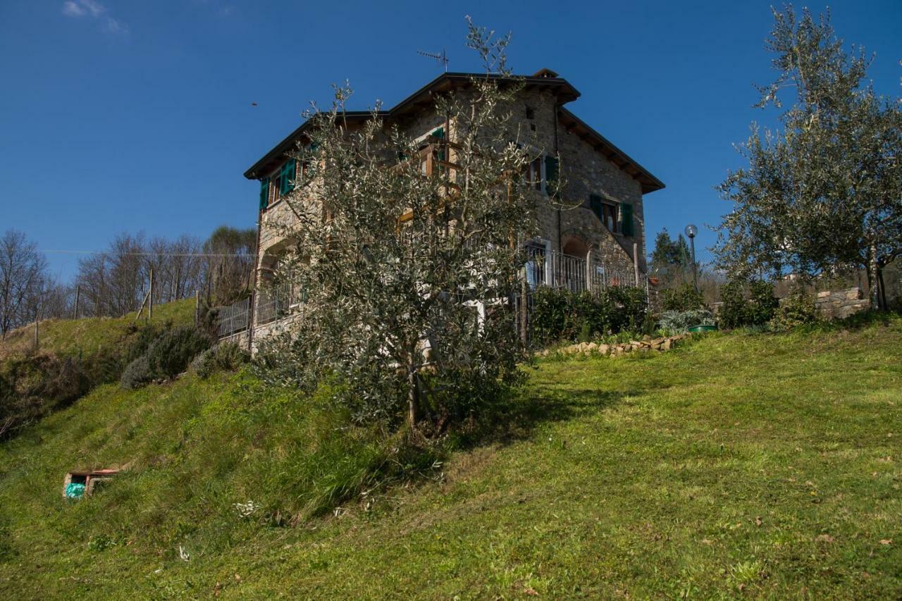 Agriturismo Angio Nel Cere Bracelli 外观 照片