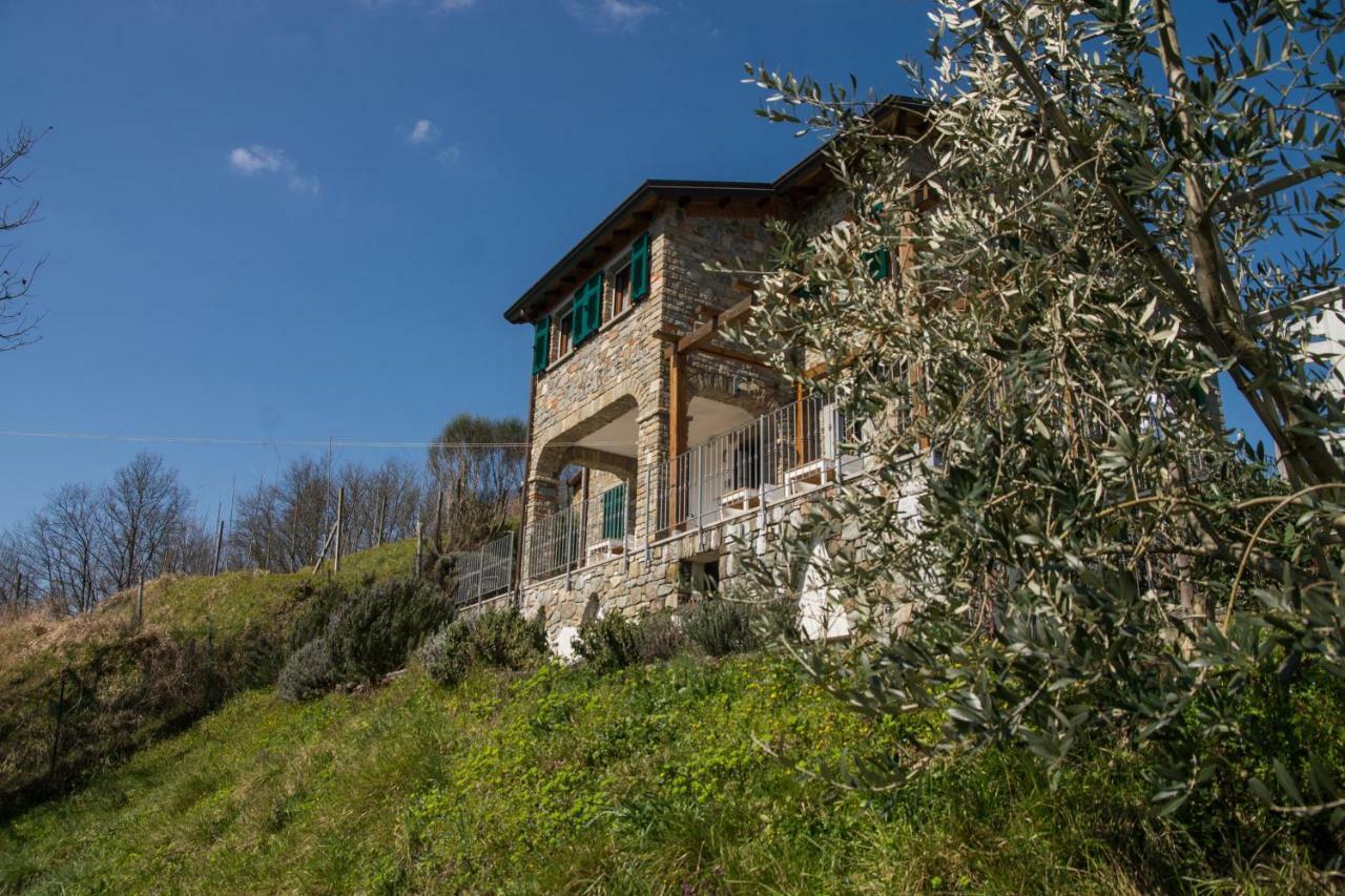 Agriturismo Angio Nel Cere Bracelli 外观 照片