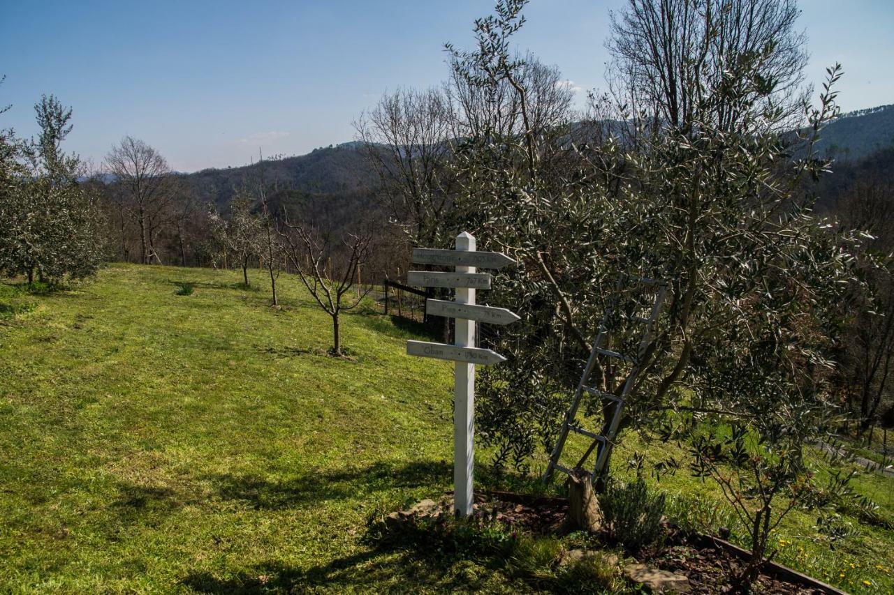 Agriturismo Angio Nel Cere Bracelli 外观 照片
